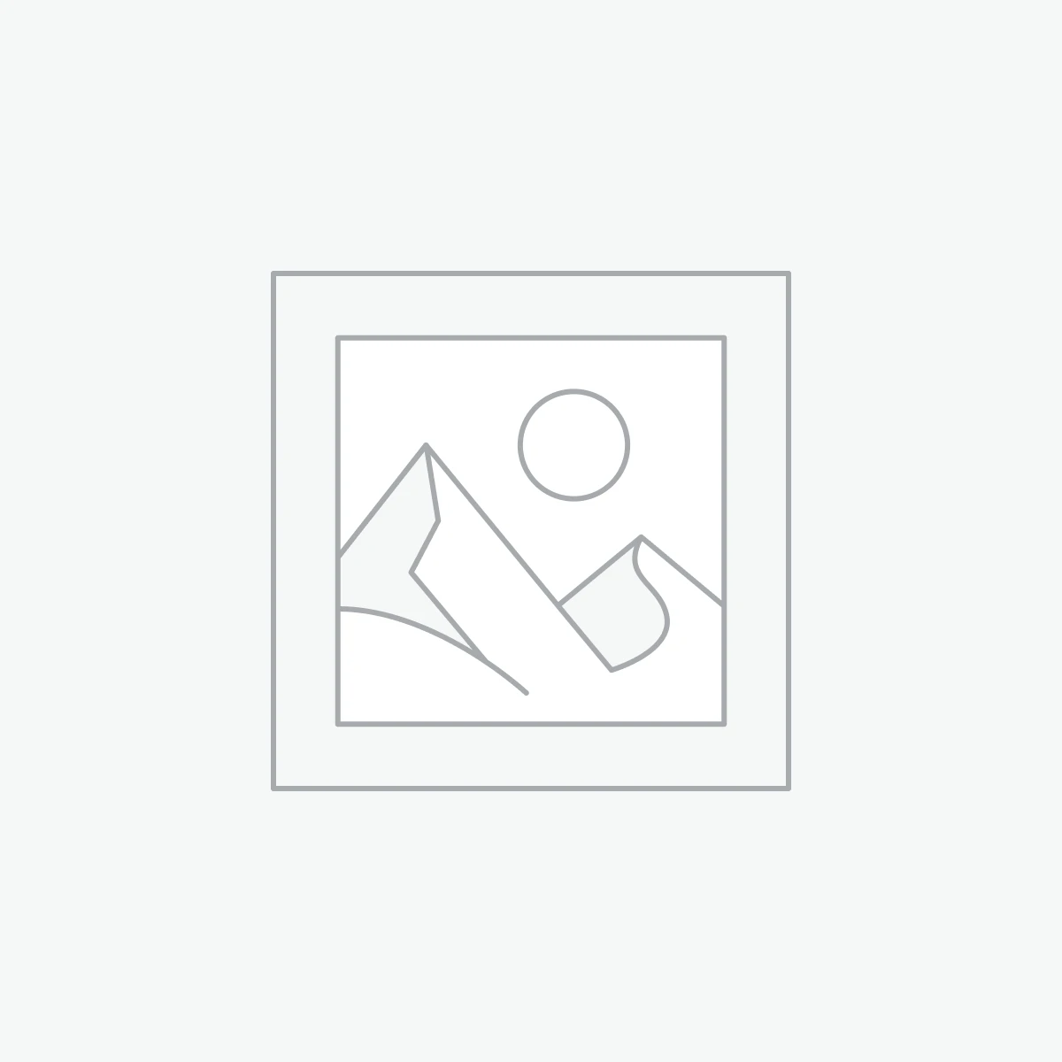 Camera AI